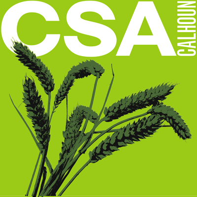 Csa_logo_full2